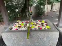 豊山八幡神社の手水舎