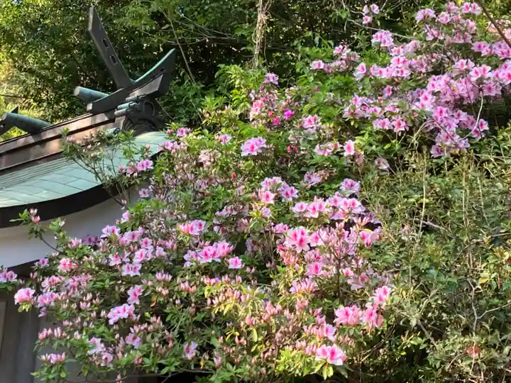 大山祇神社の自然