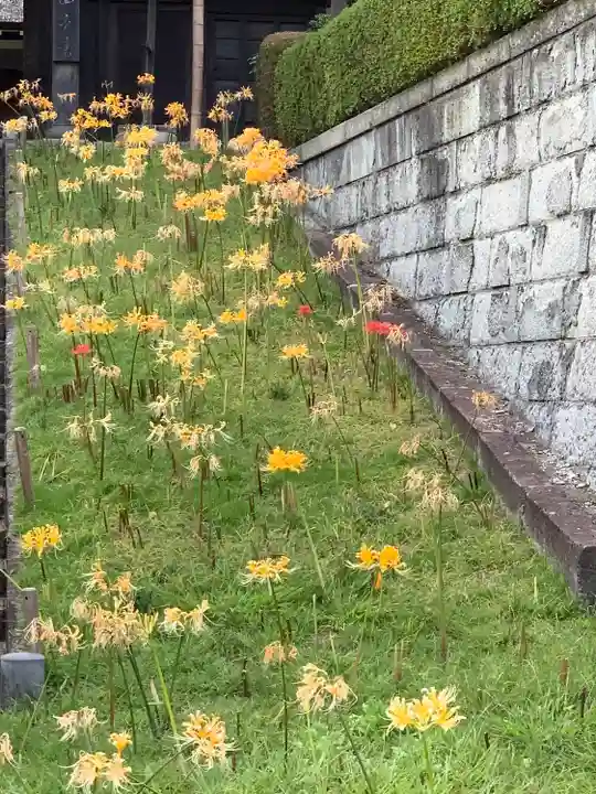 横浜 西方寺(神奈川県)