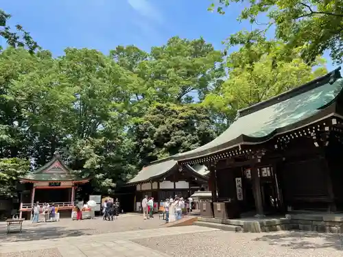 川越氷川神社(埼玉県)