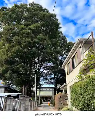 上落合神明神社(埼玉県)