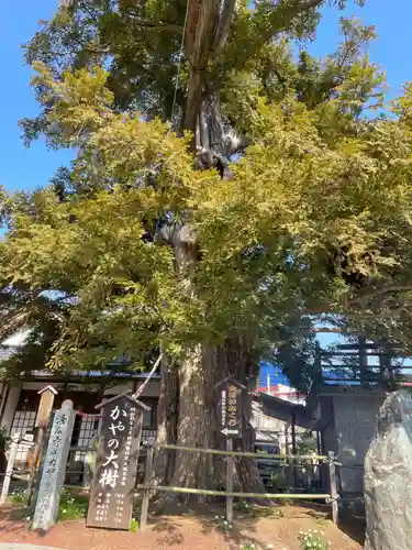 済広寺(静岡県)