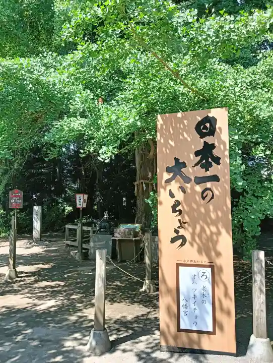 水戸八幡宮の{uncategorized: "未分類", other: "その他", undefined: "問題あり", building: "その他建物", grave: "お墓", sacred_gate: "鳥居", guardian: "狛犬", statue: "像", buddha: "仏像", history: "歴史", nature: "自然", garden: "庭園", animal: "動物", pagoda: "塔", temizu: "手水舎", mountain_gate: "山門・神門", sanctuary: "本殿・本堂", subordinate: "末社・摂社", art: "芸術", scenery: "景色", jizo: "地蔵", ema: "絵馬", goshuin: "御朱印", omikuji: "おみくじ", items: "授与品その他", amulet: "お守り", goshuincho: "御朱印帳", eats: "食事", festival: "お祭り", votive_dance: "神楽", shichigosan: "七五三参", wedding: "結婚式", experience: "体験その他", initially: "初詣", around: "周辺", anti_infection: "感染症対策"}