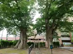 熊野神社(山形県)