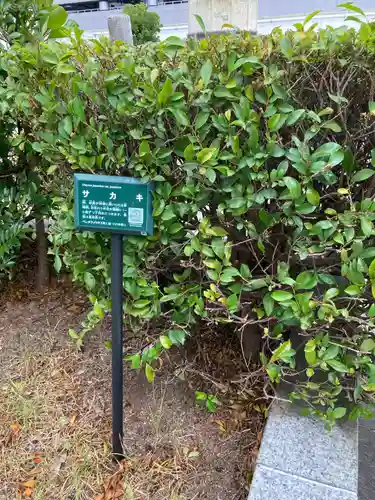稲荷大明神（そごう横浜店・屋上）(神奈川県)