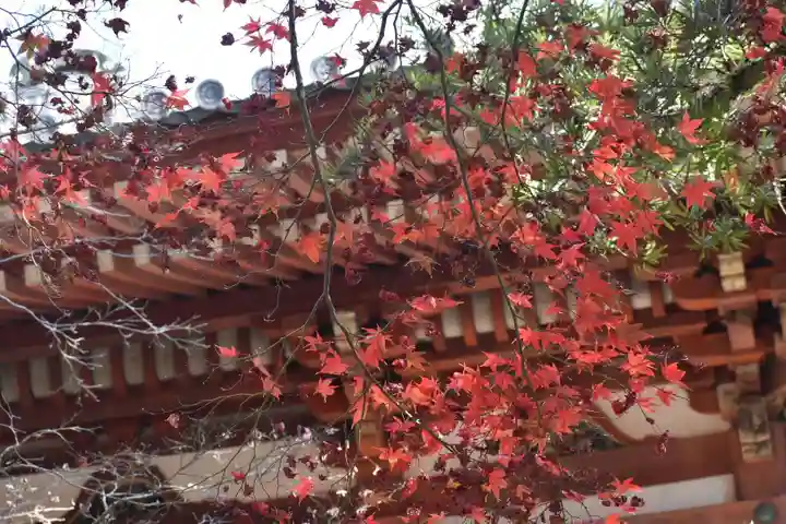 醍醐寺のその他建物