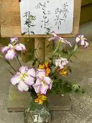 須山浅間神社(静岡県)