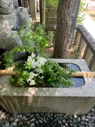 東光院(大阪府)