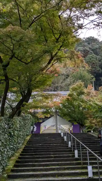 禅林寺(永観堂)(京都府)