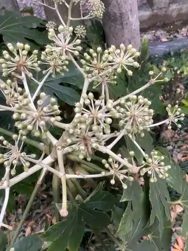 三輪神社の自然