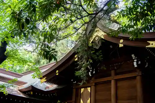 子安神社の本殿・本堂