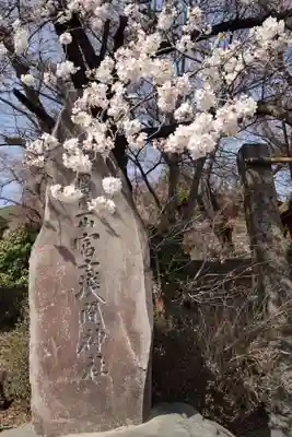 新倉富士浅間神社(山梨県)