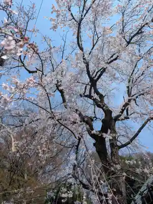 妙見堂(東京都)