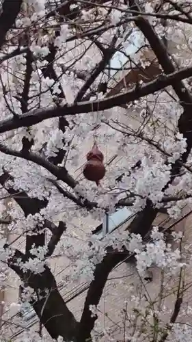 秋葉神社(東京都)