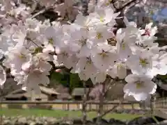 朝倉神社(福井県)