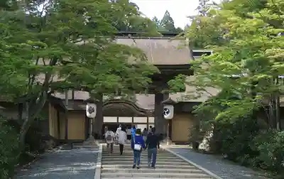高野山金剛峯寺(和歌山県)