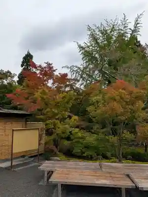 禅林寺(永観堂)(京都府)