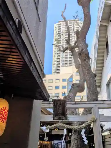 少彦名神社(大阪府)