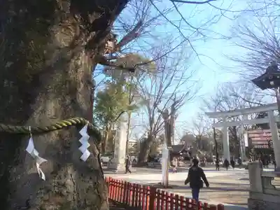 大國魂神社のその他建物