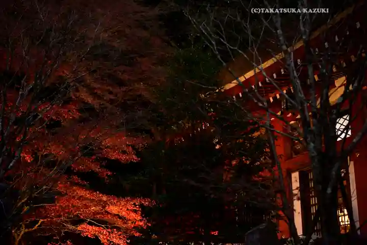 大山阿夫利神社(神奈川県)