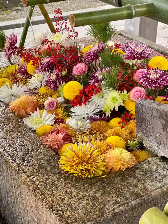 八坂神社(祇園さん)の手水舎