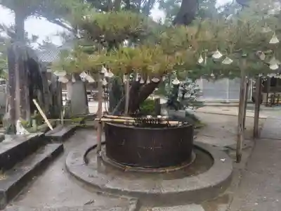 智恩寺(京都府)