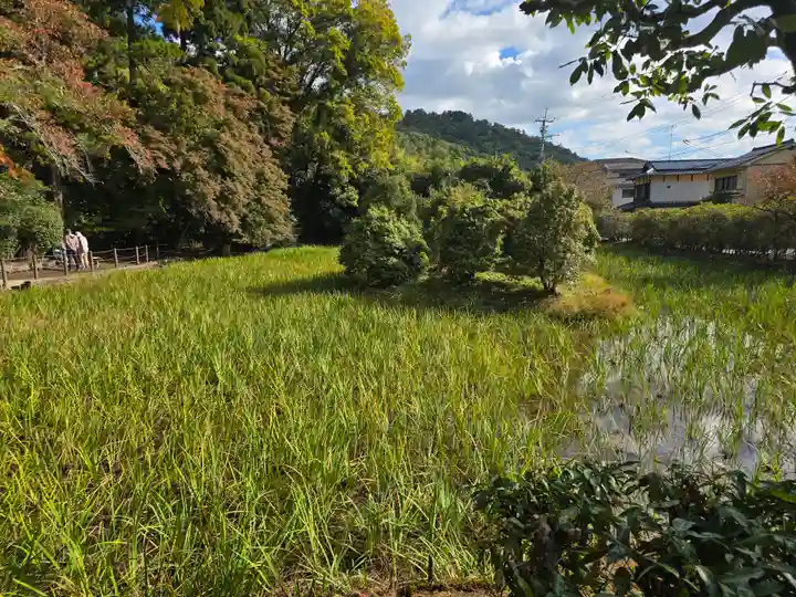 大田神社(賀茂別雷神社境外摂社)(京都府)