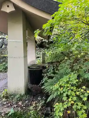 戸隠神社奥社(長野県)
