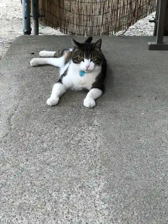 鶴田八幡宮(青森県)