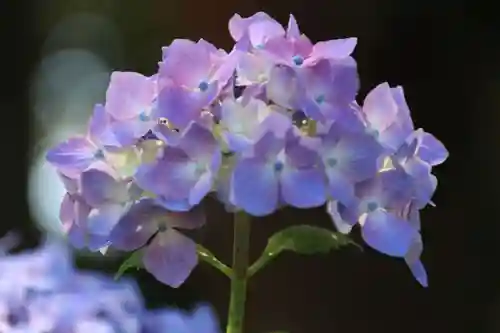 豊景神社の自然