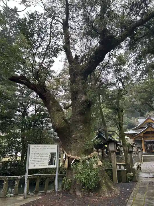 住吉神社(長崎県)