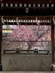 屯倉神社(大阪府)