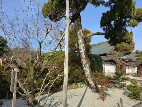 松巌寺(京都府)