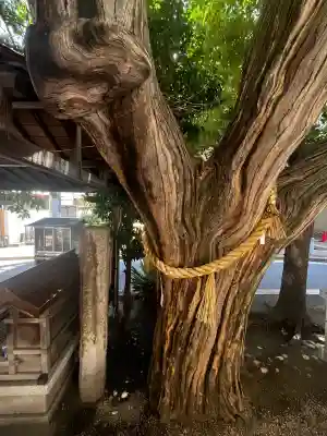 楠木大神(大阪府)