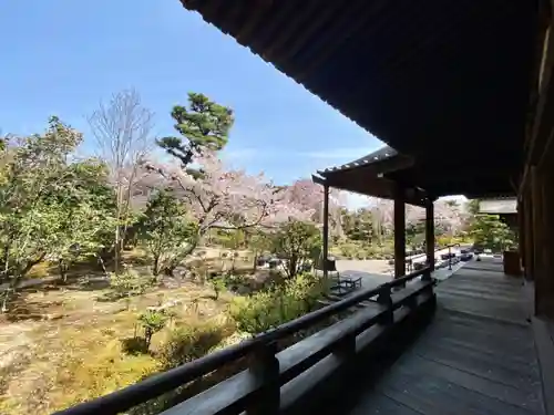 法金剛院の庭園
