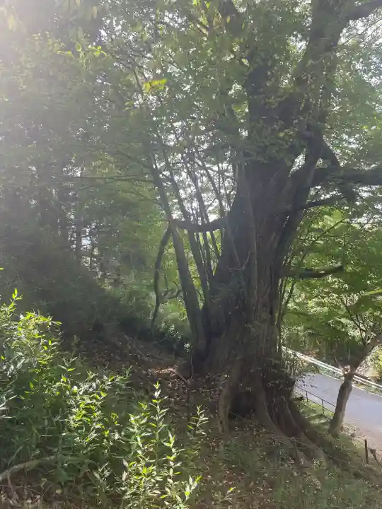 登米神社(宮城県)