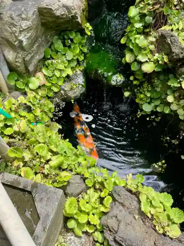 妙見寺(東京都)