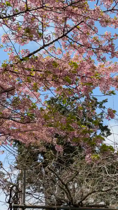 惠心院(京都府)