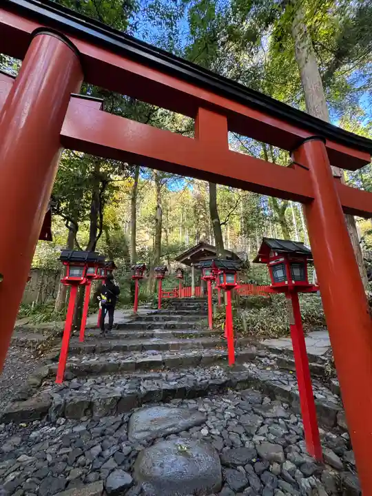 貴船神社結社(京都府)