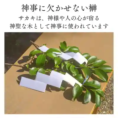 諫早神社（九州総守護  四面宮）のその他建物