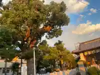 伯太神社(大阪府)