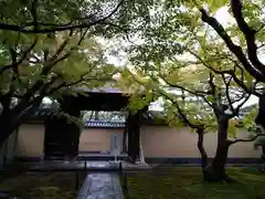 黄梅院(京都府)