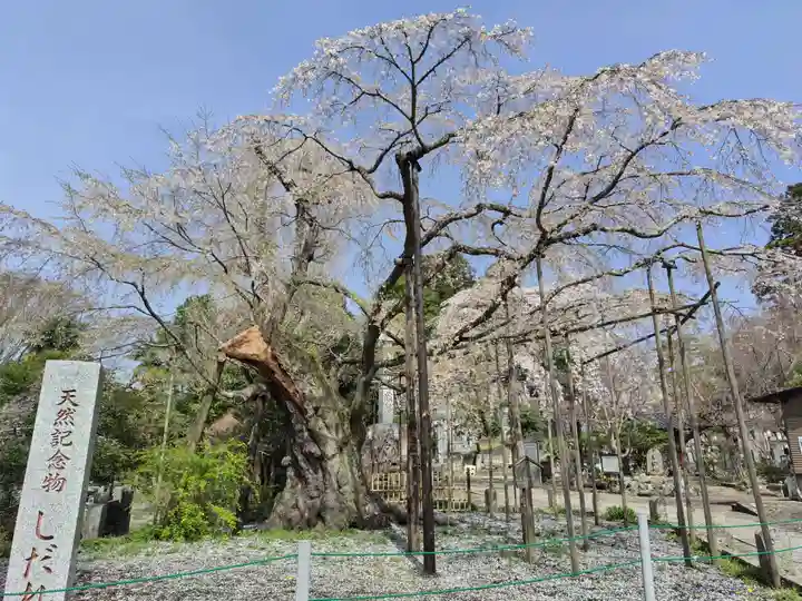 光琳寺(栃木県)
