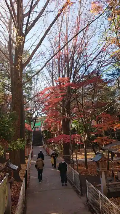 下総国三山 二宮神社の庭園