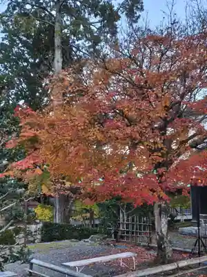 西教寺(滋賀県)