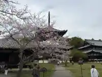 根来寺 不動堂の{uncategorized: "未分類", other: "その他", undefined: "問題あり", building: "その他建物", grave: "お墓", sacred_gate: "鳥居", guardian: "狛犬", statue: "像", buddha: "仏像", history: "歴史", nature: "自然", garden: "庭園", animal: "動物", pagoda: "塔", temizu: "手水舎", mountain_gate: "山門・神門", sanctuary: "本殿・本堂", subordinate: "末社・摂社", art: "芸術", scenery: "景色", jizo: "地蔵", ema: "絵馬", goshuin: "御朱印", omikuji: "おみくじ", items: "授与品その他", amulet: "お守り", goshuincho: "御朱印帳", eats: "食事", festival: "お祭り", votive_dance: "神楽", shichigosan: "七五三参", wedding: "結婚式", experience: "体験その他", initially: "初詣", around: "周辺", anti_infection: "感染症対策"}
