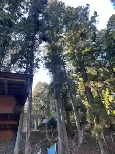 大宮温泉神社(栃木県)(2024年03月23日(土) 12時32分18秒投稿)