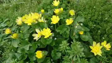 観音堂(粟倉)(静岡県)