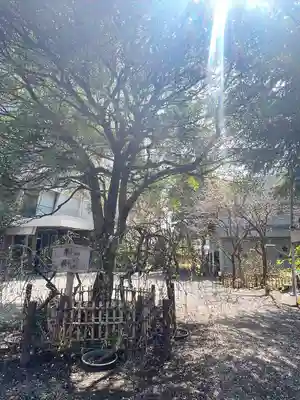 牛天神北野神社(東京都)