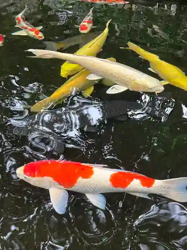 伊勢神宮内宮（皇大神宮）(三重県)